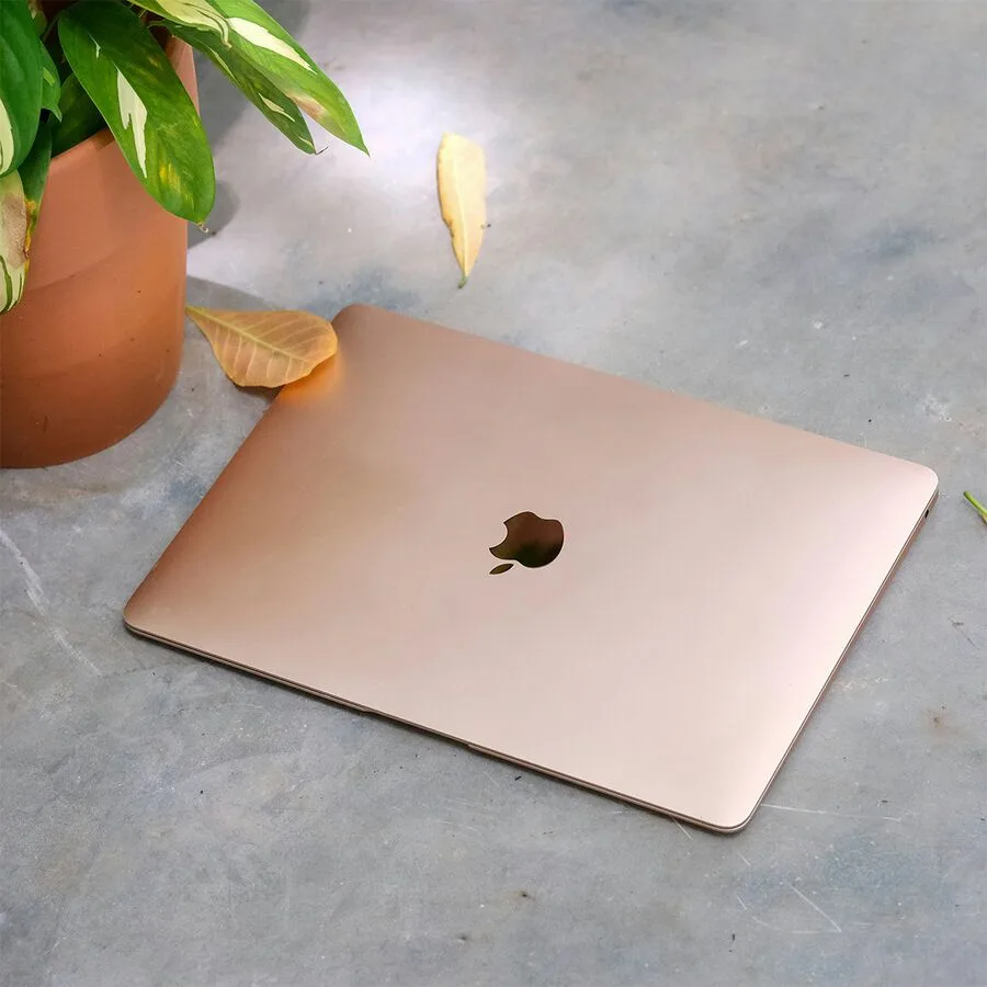 Gold MacBook Air lying on a desk next to a plant